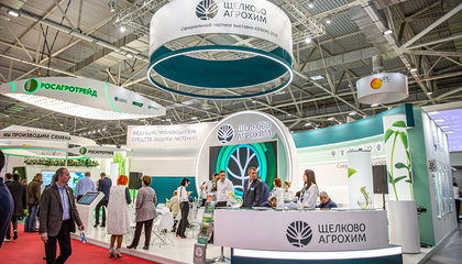 Организация выставок